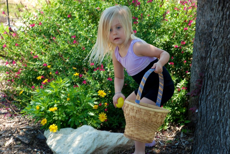 2012/04(April)/Easter/800x600_2012-04-08-08-Egg Hunt.jpg
